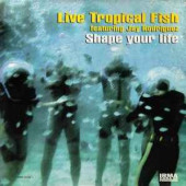 Shape Your Life — Live Tropical Fish