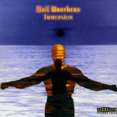 Immersion — Братья Бриль