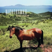 Paris Dakar — Nighthawks