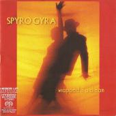 Wrapped In A Dream — Spyro Gyra