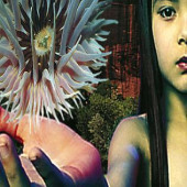 Lifeforms — Future Sound of London