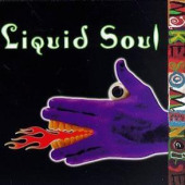 Make Some Noise — Liquid Soul