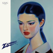 Zambient — Towa Tei