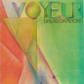 Voyeur — David Sanborn