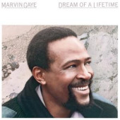 Dream Of A Lifetime — Marvin Gaye