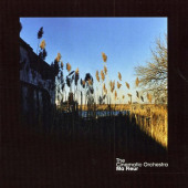 Ma Fleur — Cinematic Orchestra
