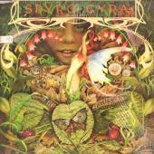 Morning Dance — Spyro Gyra