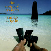 The Magical Sounds Of Banco De Gaia — Banco de Gaia