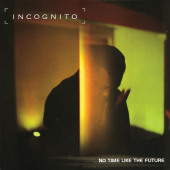No Time Like The Future — Incognito