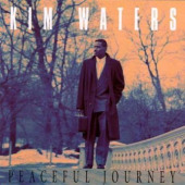 Peaceful Journey — Kim Waters