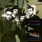 Keep Your Distance — Curiosity Killed the Cat