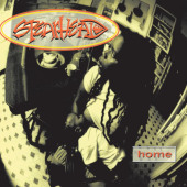 Home — Spearhead